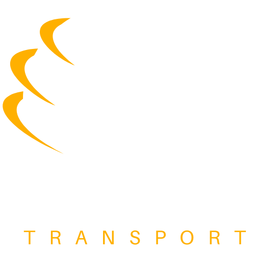 Logo footer